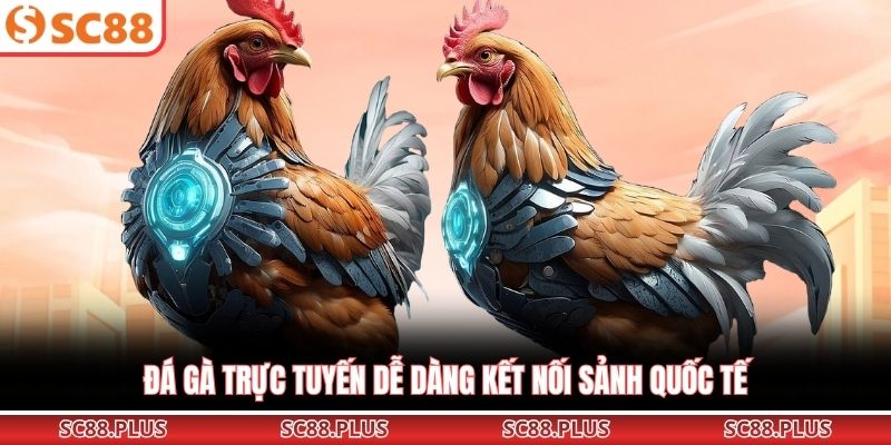 Đá gà trực tuyến dễ dàng kết nối sảnh quốc tế